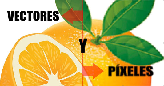 Diferencia entre vector y píxel